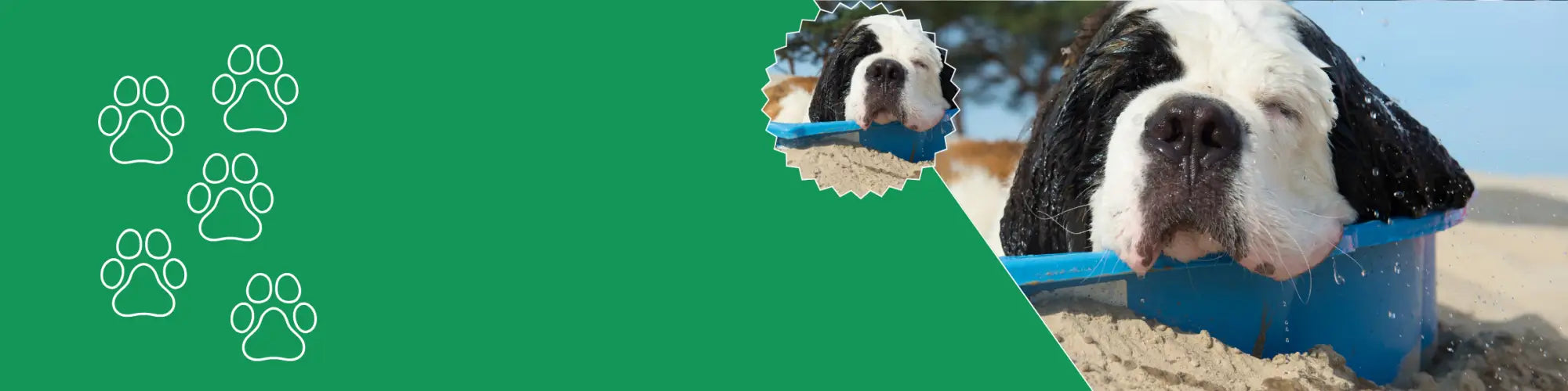 Hondenspeelgoed voor verkoeling