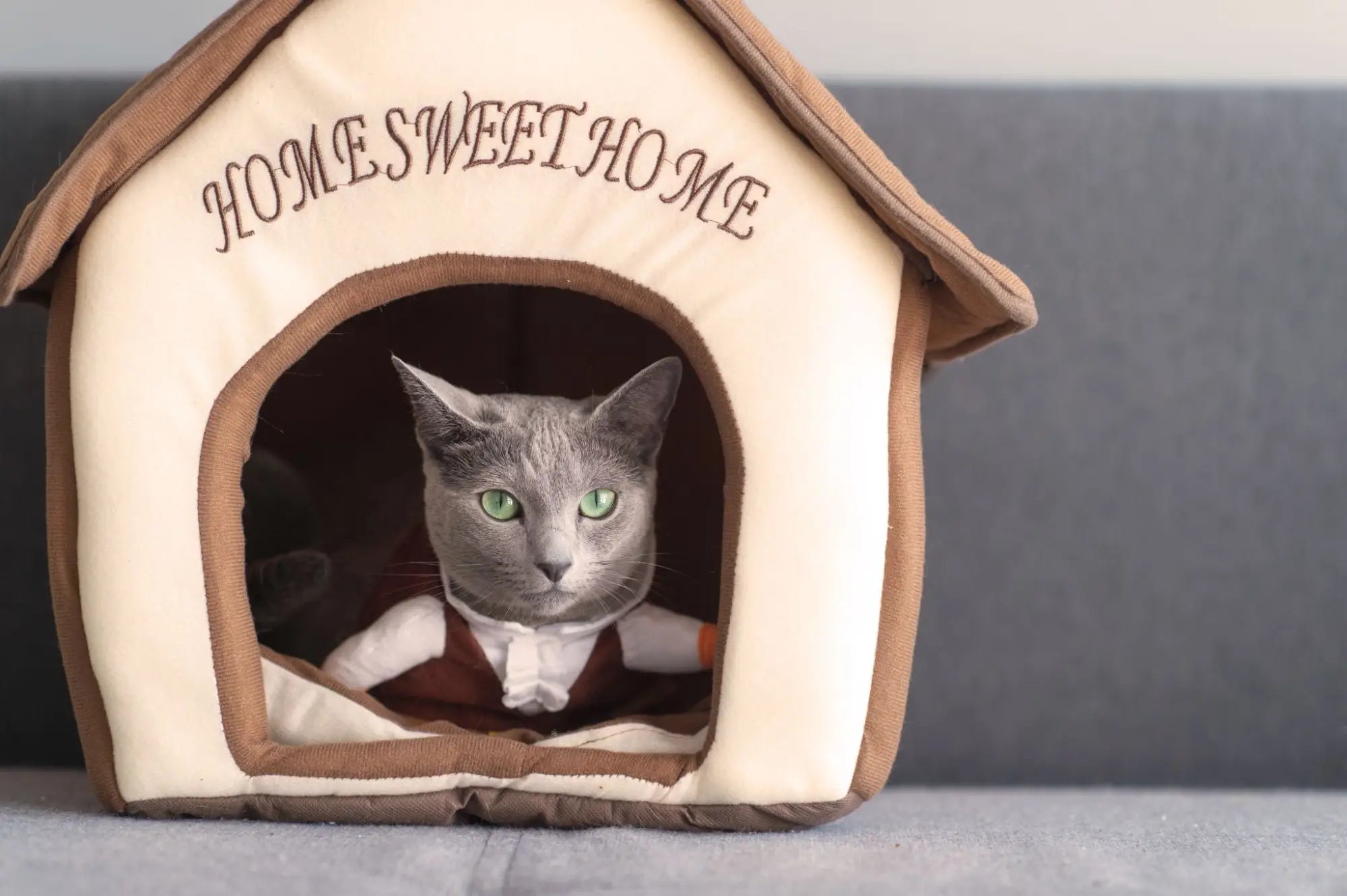 Kattenhuisje voor binnen en buiten