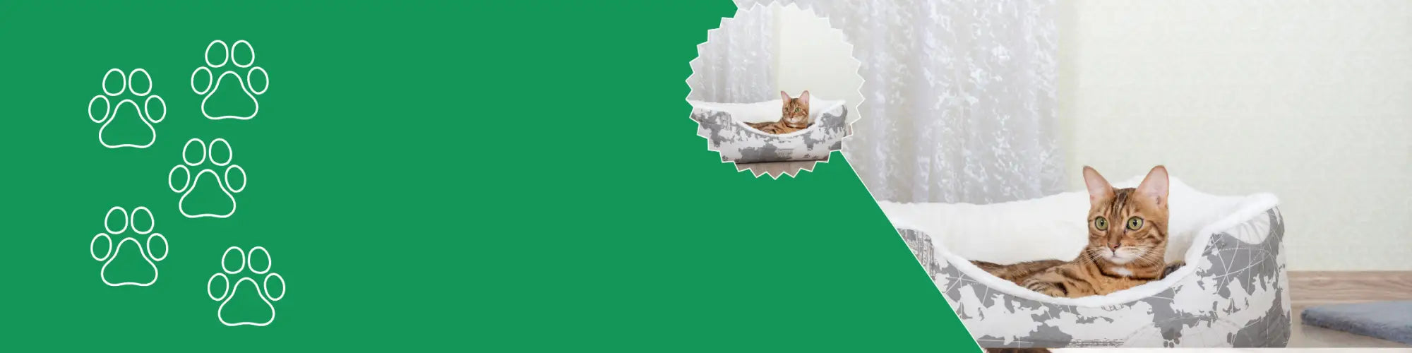 Kattenkussen voor comfort