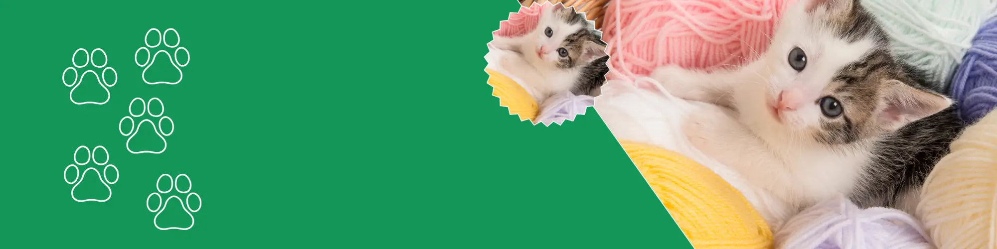 Kattenmand kopen