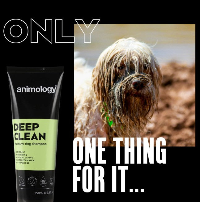 Deep Clean Shampoo 250 ml
