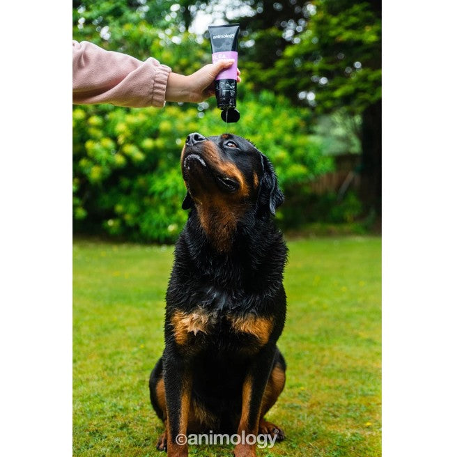 Flea & Tick Dog Shampoo 250 ml