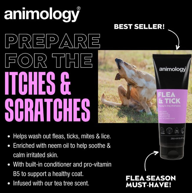 Flea & Tick Dog Shampoo 250 ml