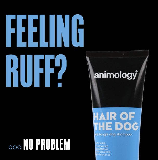 Hair of The Dog Shampoo 250 ml