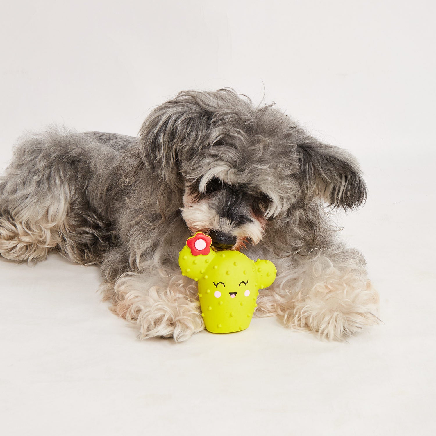 Beeztees Hundespielzeug Yari Bone 18 cm