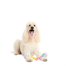 Beeztees Plüsch-Hundekorb Yali hellgrau 70 cm — Grau