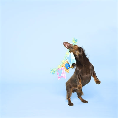 Beeztees Plüsch-Hundekorb Yali hellgrau 70 cm — Grau