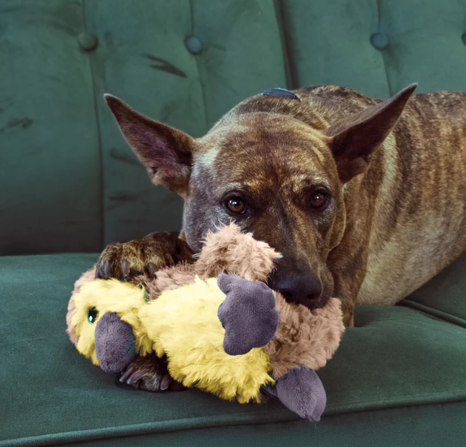 Beeztees Hundespielzeug Yari Bone 18 cm