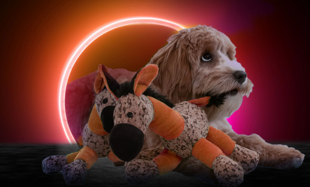 Beeztees Hundespielzeug Yari Bone 18 cm
