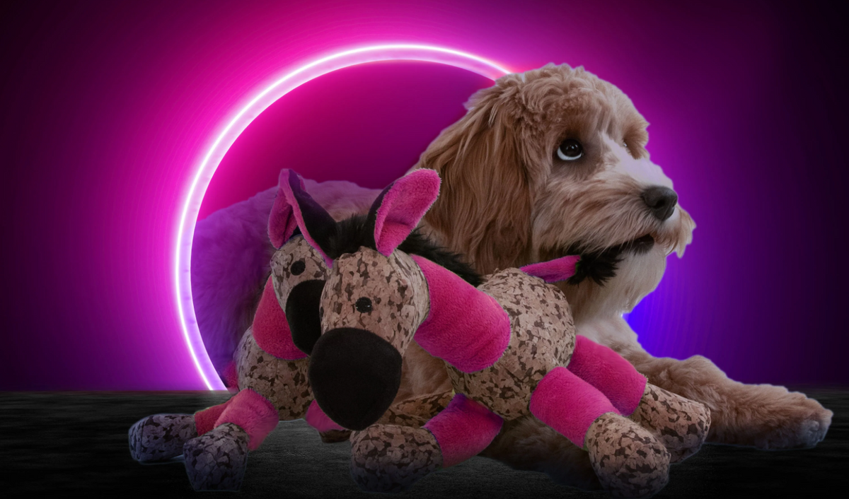 Beeztees Hundespielzeug Yari Bone 18 cm