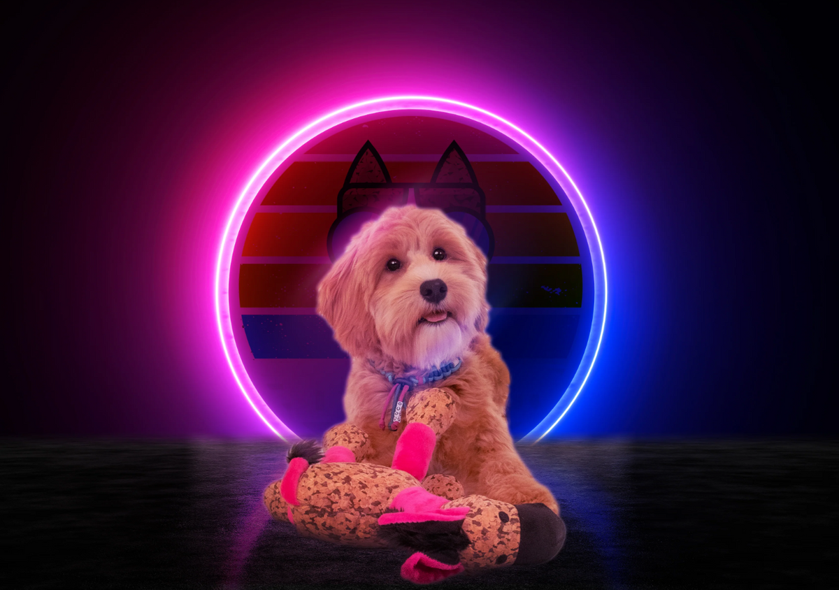 Beeztees Hundespielzeug Yari Bone 18 cm