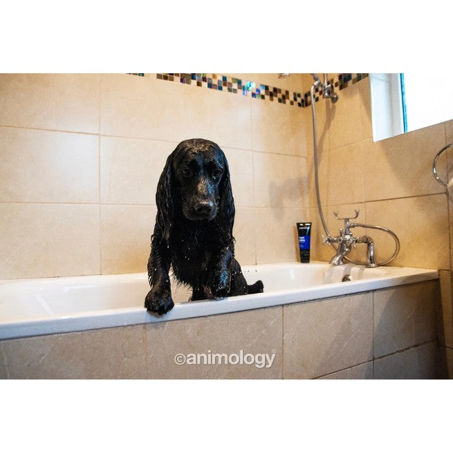 Top Dog Conditioner 250 ml