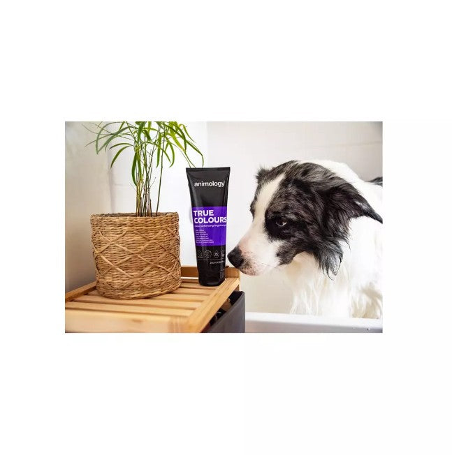 True Colours Dog Shampoo 250 ml