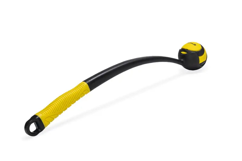 Beeztees Fetch Ballenwerper Magnifiek