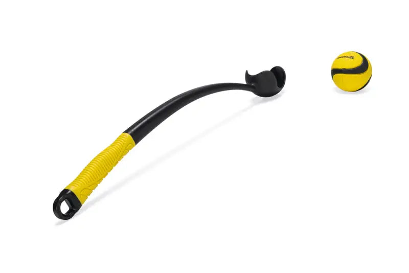 Beeztees Fetch Ballenwerper Magnifiek