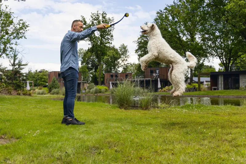 Beeztees Fetch Ballenwerper Magnifiek