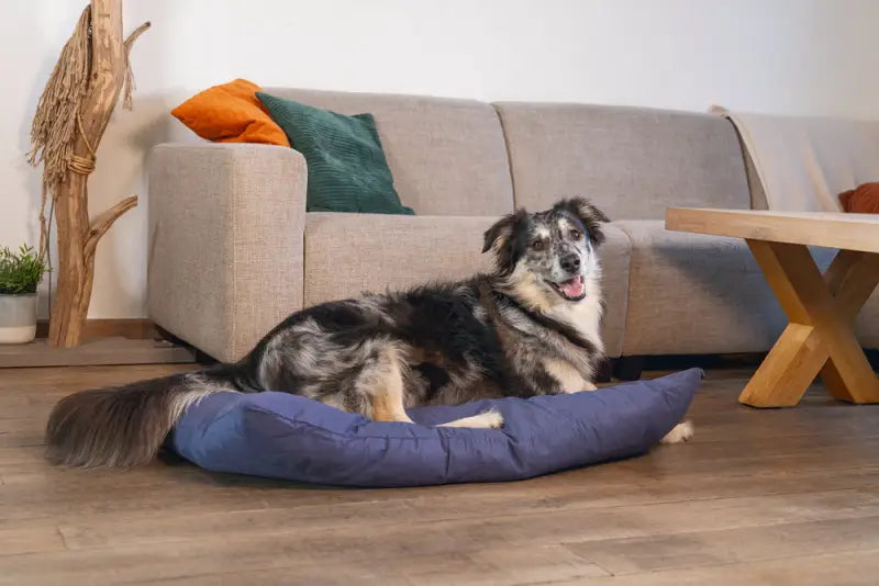 Beeztees Honden Lounge Kussen Sofix 100x70x15 cm — Blauw