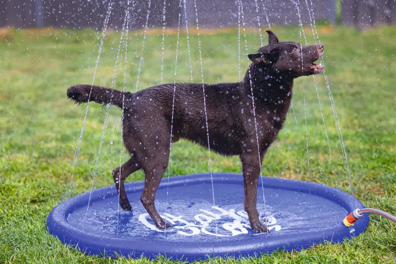 Beeztees Honden Sprinkler Mat Stay Cool 100x100x5 cm