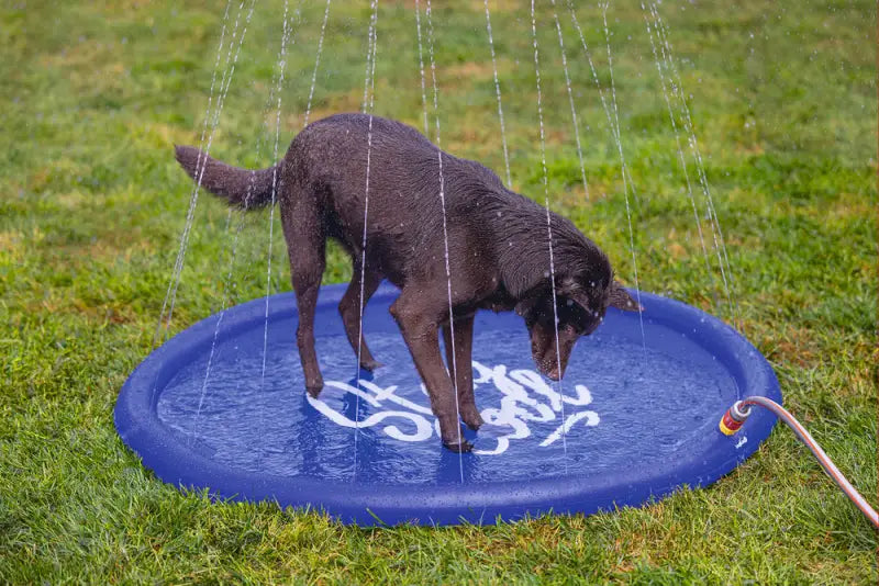 Beeztees Honden Sprinkler Mat Stay Cool 100x100x5 cm