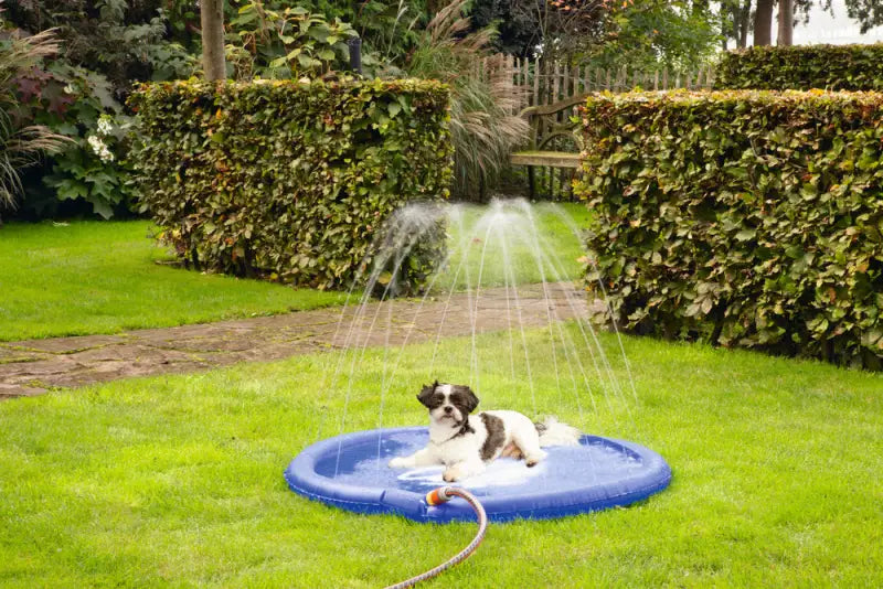 Beeztees Honden Sprinkler Mat Stay Cool 100x100x5 cm