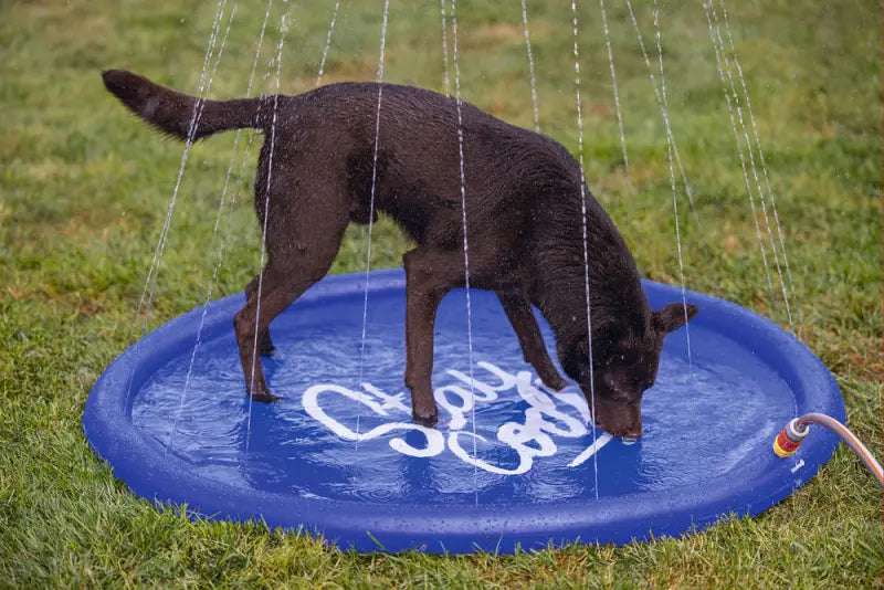 Beeztees Honden Sprinkler Mat Stay Cool 100x100x5 cm