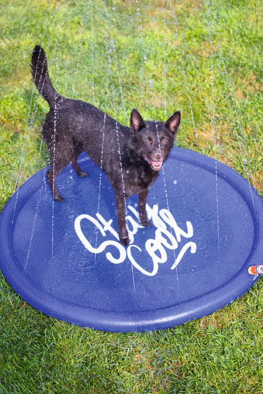 Beeztees Honden Sprinkler Mat Stay Cool 100x100x5 cm