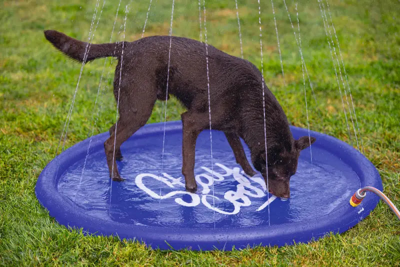 Beeztees Honden Sprinkler Mat Stay Cool 130x130x5 cm