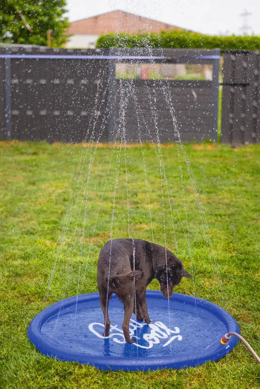 Beeztees Honden Sprinkler Mat Stay Cool 130x130x5 cm