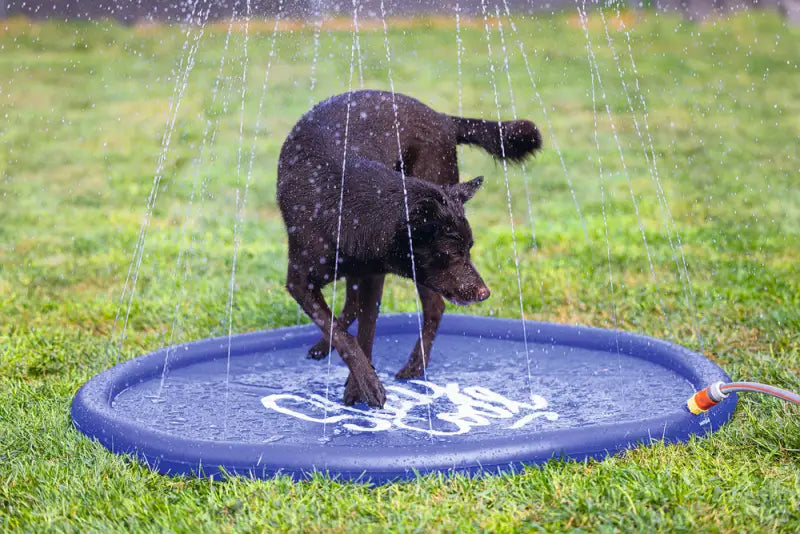 Beeztees Honden Sprinkler Mat Stay Cool 130x130x5 cm