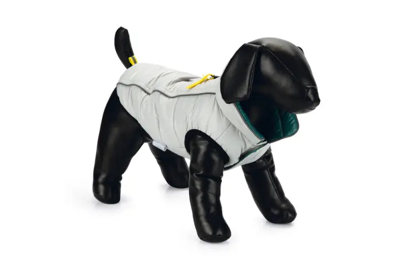Beeztees Hondenjas Maly — Lichtgrijs / Groen - Ruglengte 24 cm - Hondenkleding