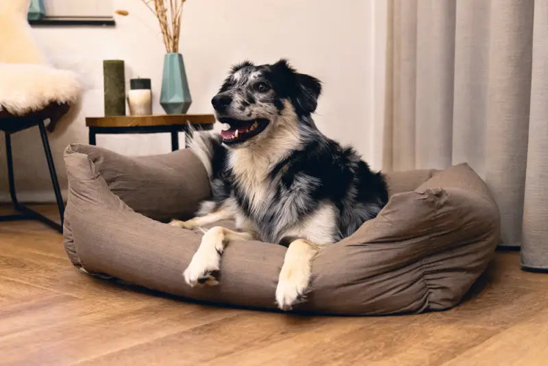 Beeztees Hondenmand Sofixa 95x80x25 cm — Taupe - BEDDEN/MANDEN/KUSSENS