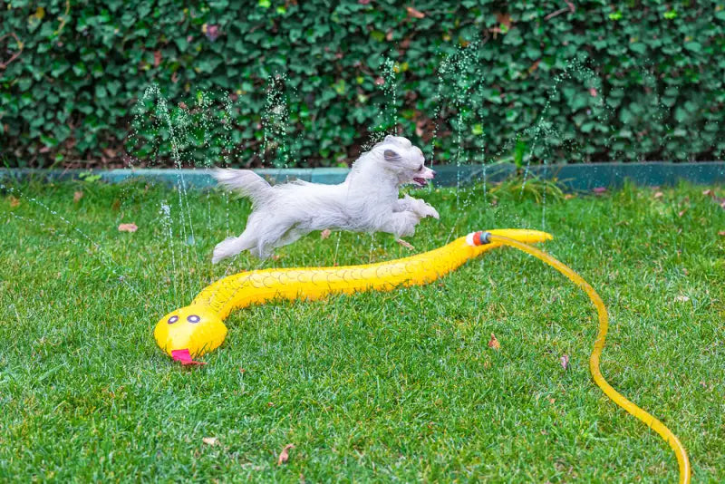 Beeztees Hondenspeelgoed Splashy Snake 150 cm — Geel