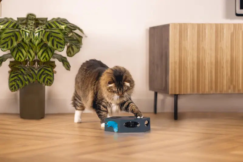 Beeztees Interactief Kattenspeelgoed Prooi