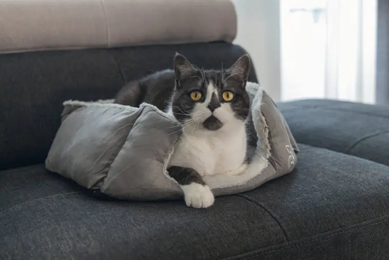 Beeztees Kattenmand Baboo 48x37x18 cm — Grijs