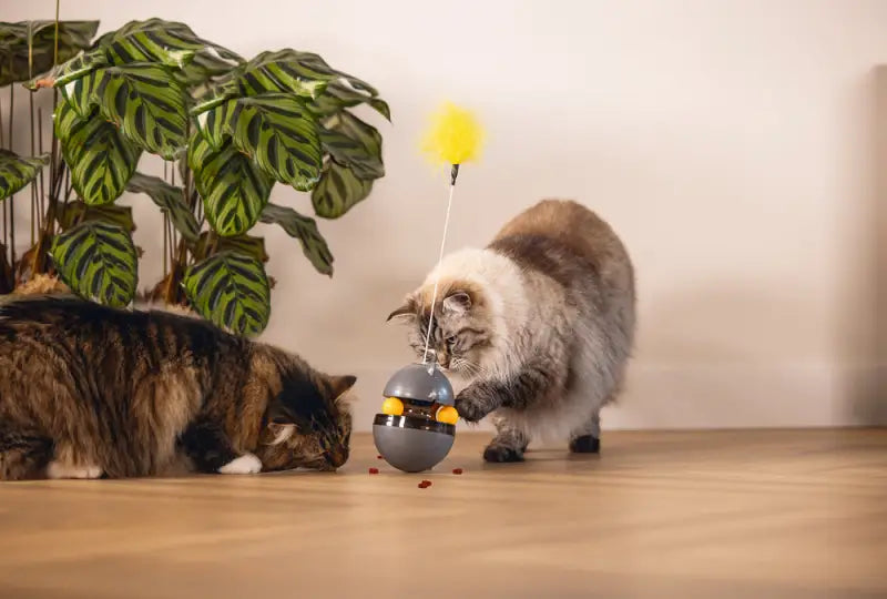 Beeztees Kattenspeelgoed Interactief Wibol