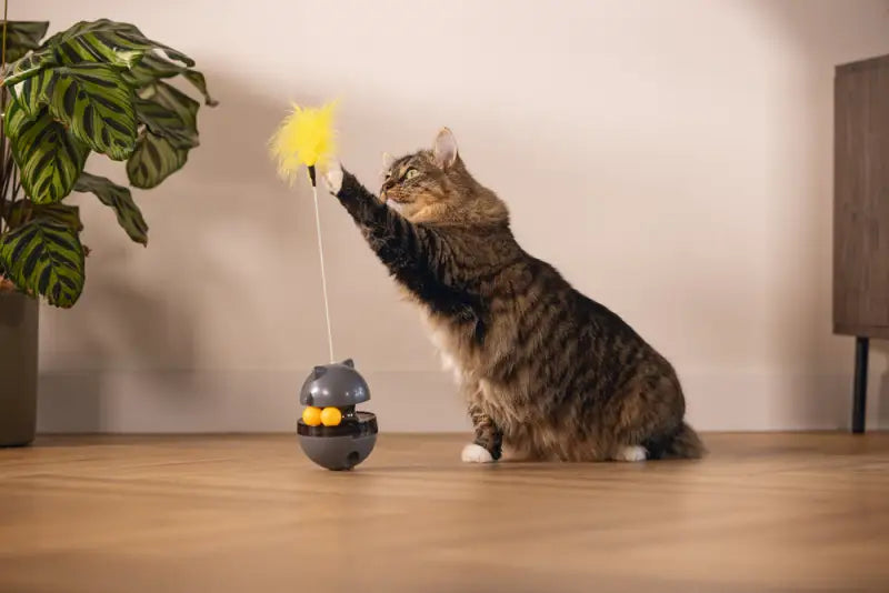 Beeztees Kattenspeelgoed Interactief Wibol