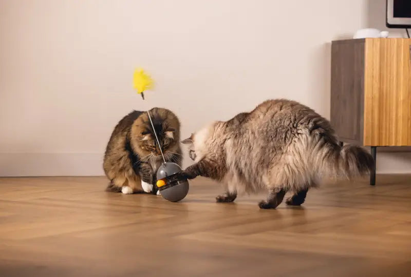 Beeztees Kattenspeelgoed Interactief Wibol