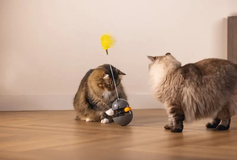 Beeztees Kattenspeelgoed Interactief Wibol