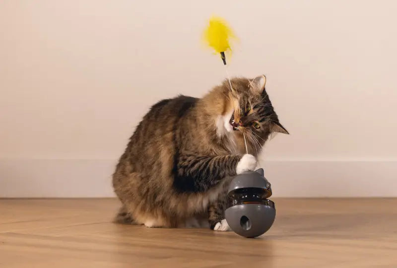 Beeztees Kattenspeelgoed Interactief Wibol