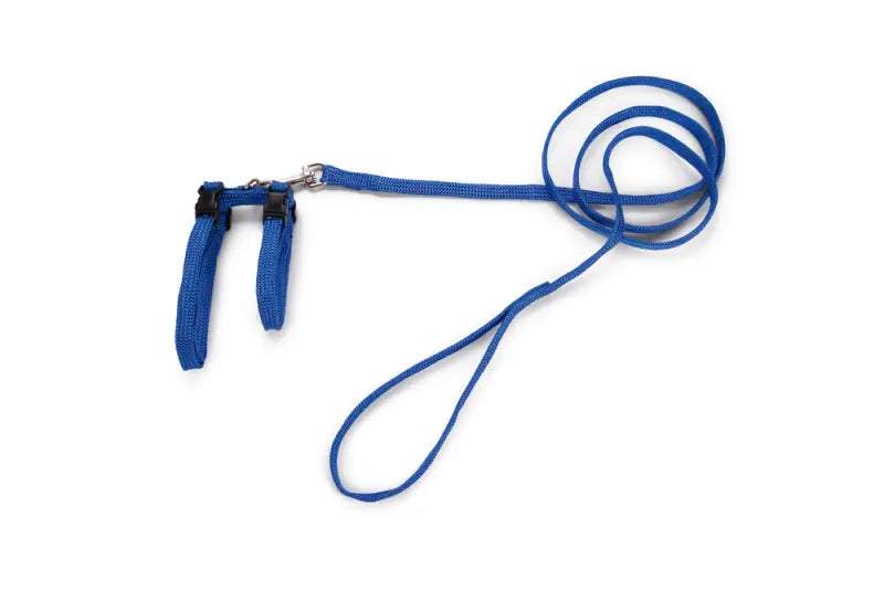 Beeztees Kattentuigje — Blauw - Kattentuigje