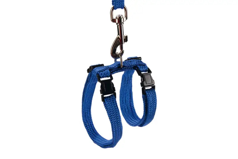 Beeztees Kattentuigje — Blauw - Kattentuigje