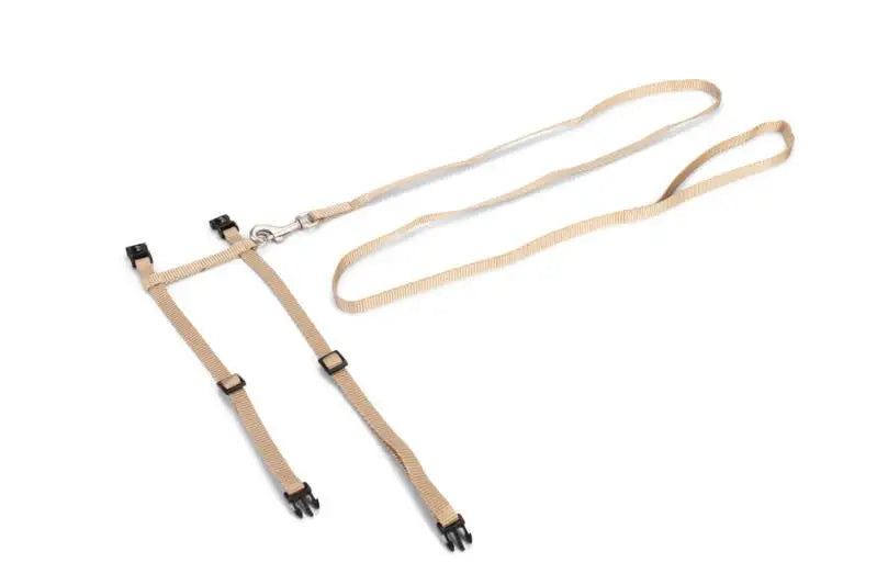 Beeztees Kattentuigje Uni — Beige