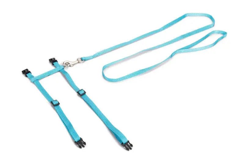 Beeztees Kattentuigje Uni — Blauw