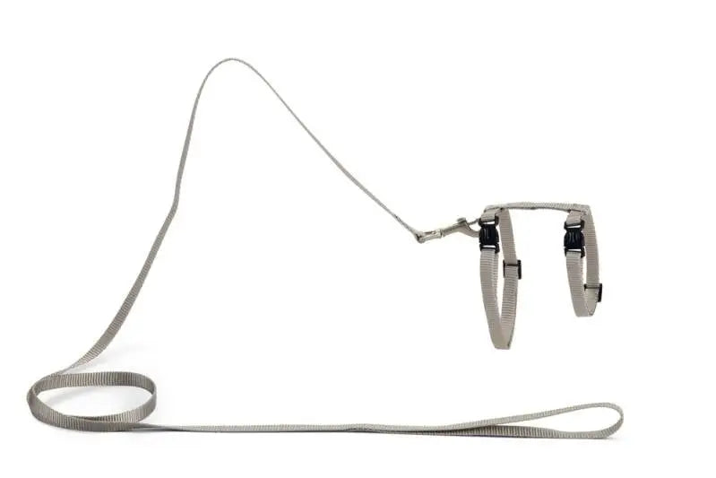 Beeztees Kattentuigje Uni — Grijs