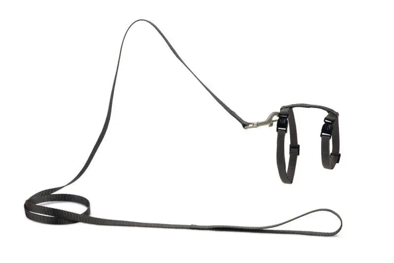 Beeztees Kattentuigje Uni — Grijs