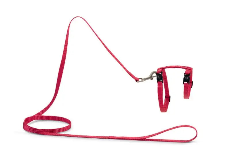 Beeztees Kattentuigje Uni — Roze