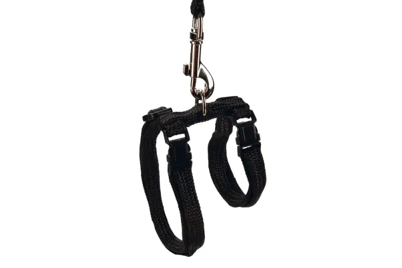 Beeztees Kattentuigje — Zwart - Kattentuigje