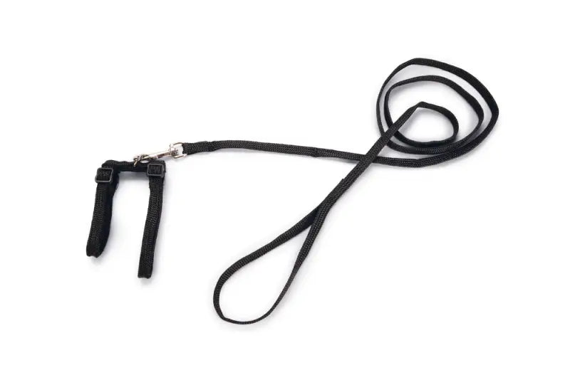 Beeztees Kattentuigje — Zwart - Kattentuigje