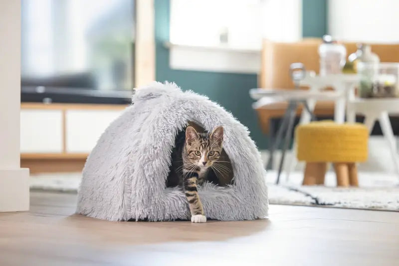 Beeztees Kitten Cave Cosmo — Grijs - BEDDEN/MANDEN/KUSSENS