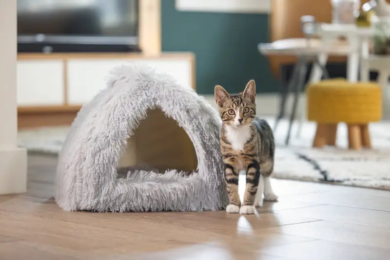 Beeztees Kitten Cave Cosmo — Grijs - BEDDEN/MANDEN/KUSSENS